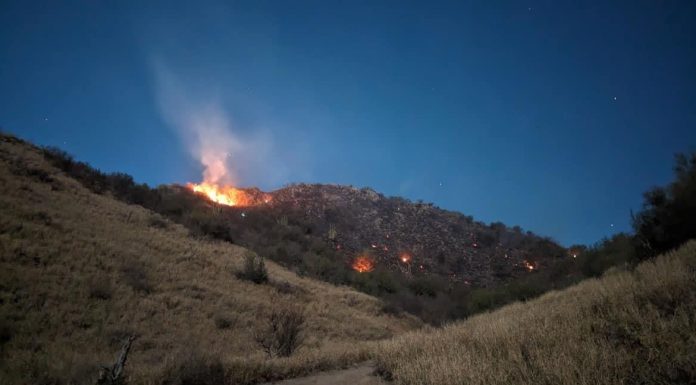 Exigen que dueños de terrenos en Cerro Johnson asuman gastos de incendio