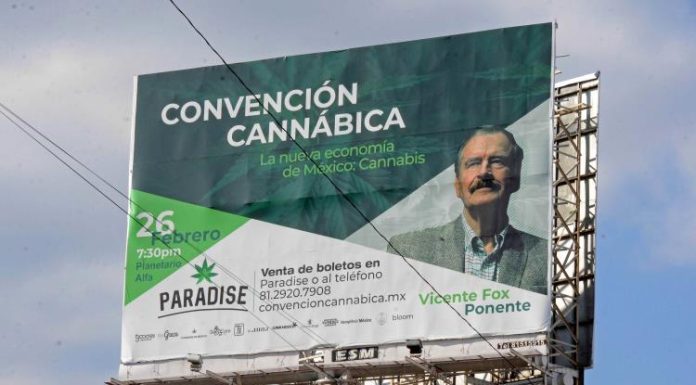 Cofepris alista acciones para revocar permisos a empresas de cannabis ligadas a Fox