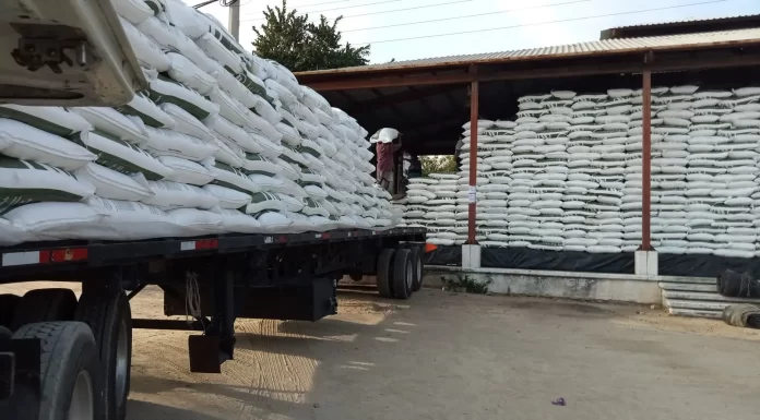 Productores recibirán fertilizante gratuito en mayo