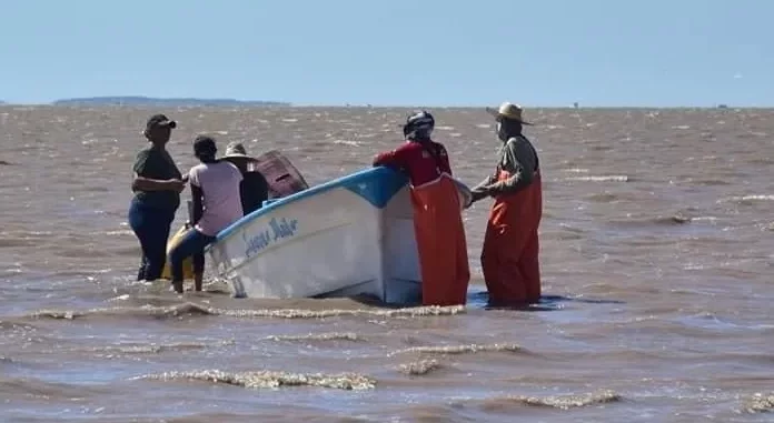 Buscan certificar a buzos de San Ignacio Río Muerto