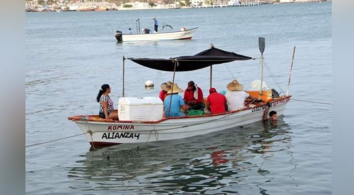 Temporada camaronera cierra con 2 mil 681 toneladas en Guaymas y Empalme