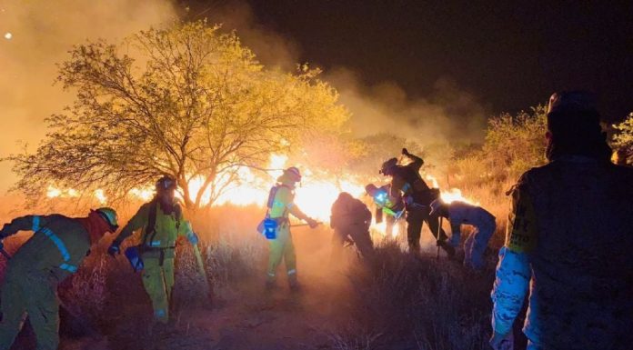 Arduo trabajo en Sonora: Cuerpos de emergencia combaten un incendio en Crabó de más de 2 mil ha