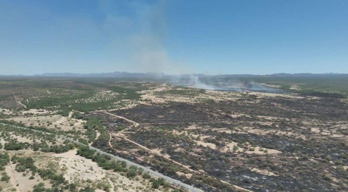Combaten tres incendios forestales en la sierra de Sonora