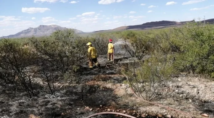 Sofocan 4 incendios forestales en Sonora