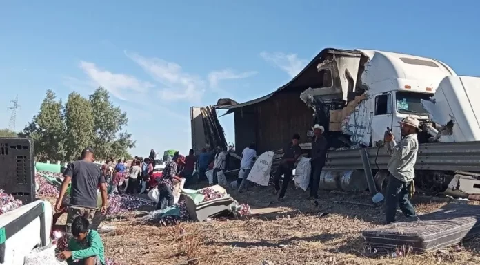 Fallece chofer de tráiler en accidente carretero tramo Guaymas a Obregón