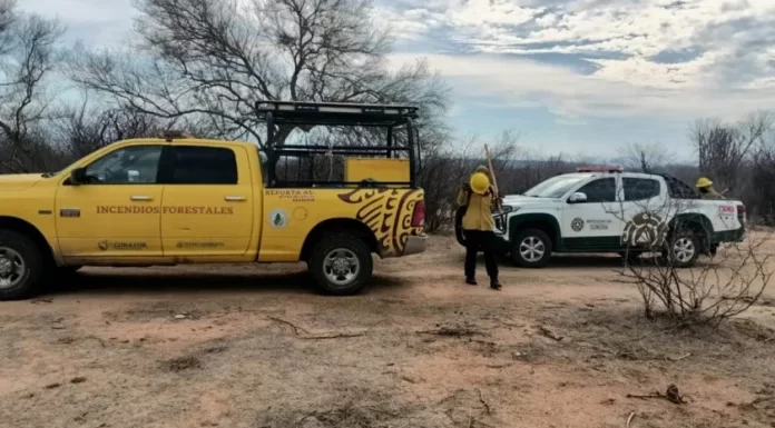 Luchan bomberos de la región del Mayo y rancheros contra incendio forestal en Camoa
