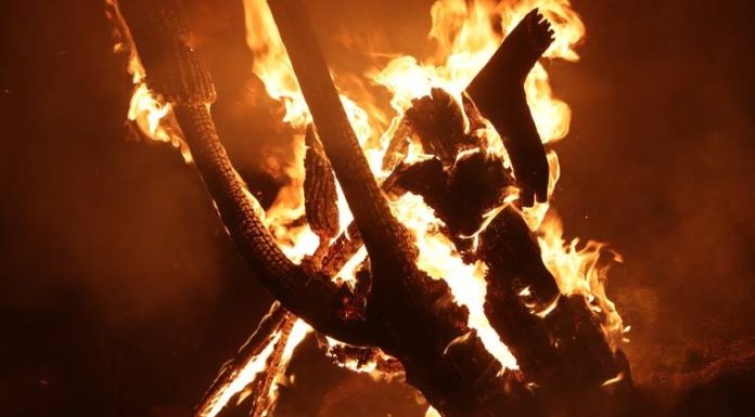 Sequía y falta de ganado aumentan incendios forestales en Sonora