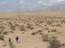 Avanza creación en Sonora del Centro de Identificación Humana y Laboratorio de Genética