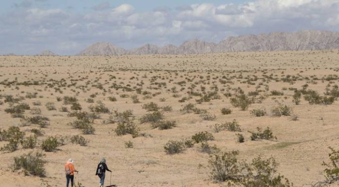 Avanza creación en Sonora del Centro de Identificación Humana y Laboratorio de Genética