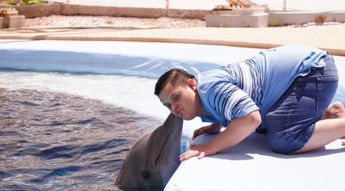 Abre Gobierno de Sonora registro para Delfinoterapias 2023