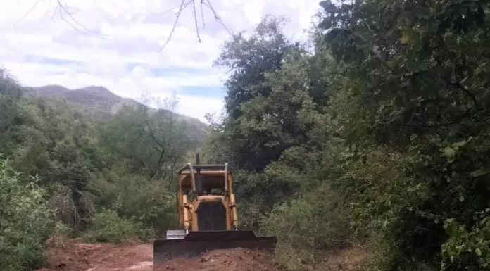 Repunta ganadería del Valle del Yaqui