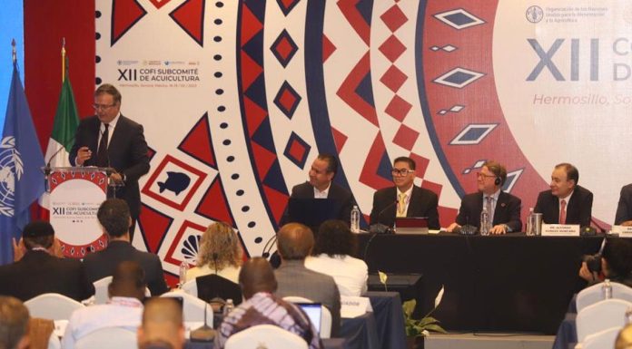 Marcelo Ebrard destaca importancia de acuicultura en seguridad alimentaria