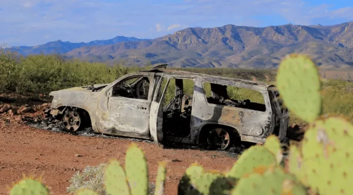 Van 33 detenidos por masacre en Bavispe, informa SSPC