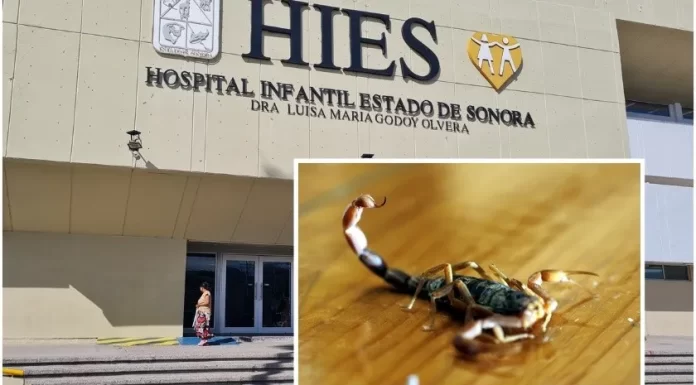 ¿Cómo saber qué me picó?: Picaduras y mordeduras de animales venenosos es lo que más atienden en urgencias del HIES