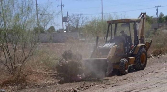 Van por basureros clandestinos