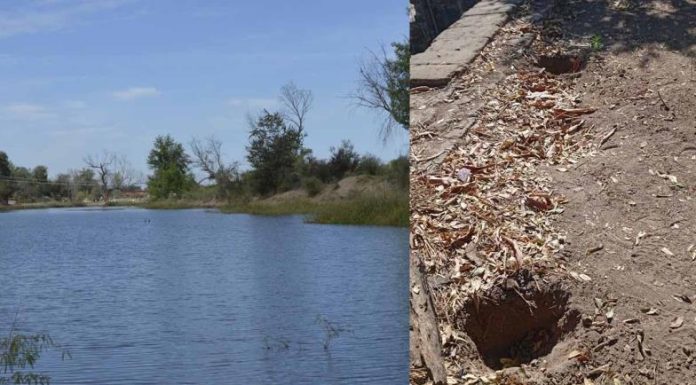 Vandalismo en el Río Mayo