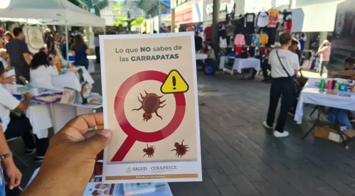 Suman 22 muertes por rickettsia; asegura Salud Sonora son menos que en 2022