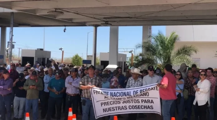 Concluyen trillas en Valle del Yaqui, pero sigue incertidumbre