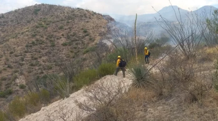Van 80 incendios forestales en Sonora en lo que va de la temporada de calor: CEPC