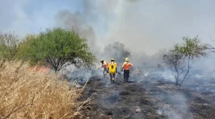 Al menos 500 familias afectadas por incendios forestales en el VY