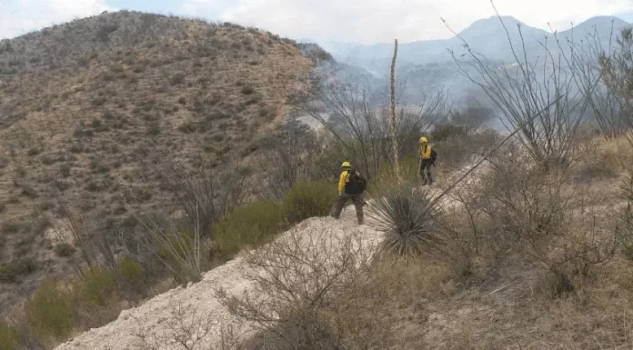 Hay optimismo por extinguir incendio forestal en Ímuris a corto plazo
