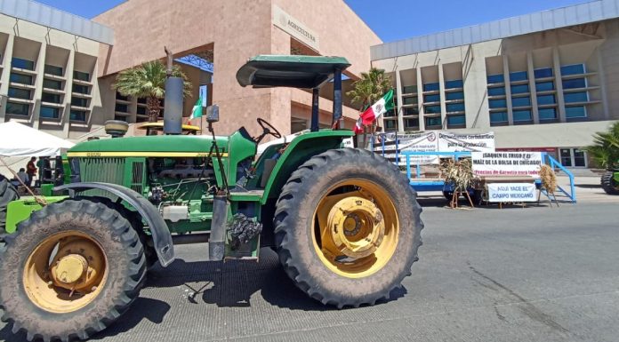 Instalarán mesas de trabajo con productores en Sonora; Sagarhpa