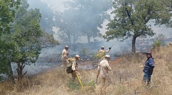 Incendios devastan miles de hectáreas en la sierra de Bacoachi y Nacozari; reportan control de 70%