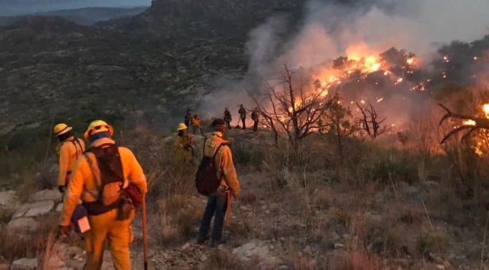 A 10 días del incendio en Ímuris se ha controlado en un 70%: García Acedo