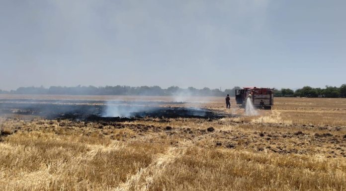 Queman más de 40 hectáreas de gavilla en la colonia Soto de Etchojoa