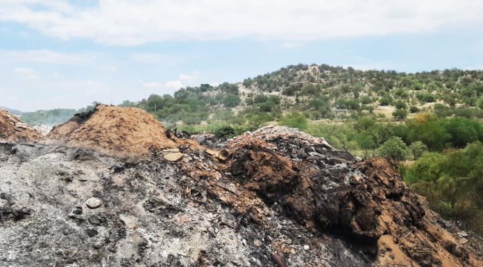 ¡Cae otro pirómano! Lo sorprenden quemando maleza y basura al norte
