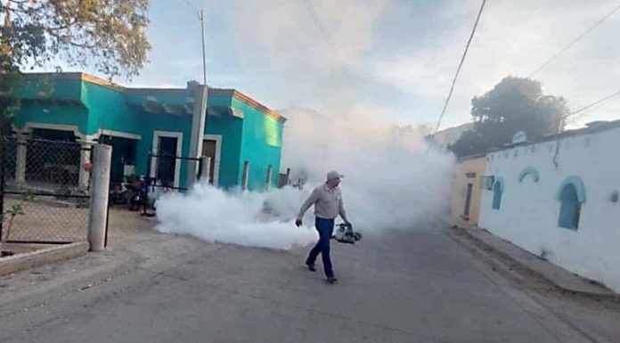 Refuerzan fumigación tras positividad en ovitrampas
