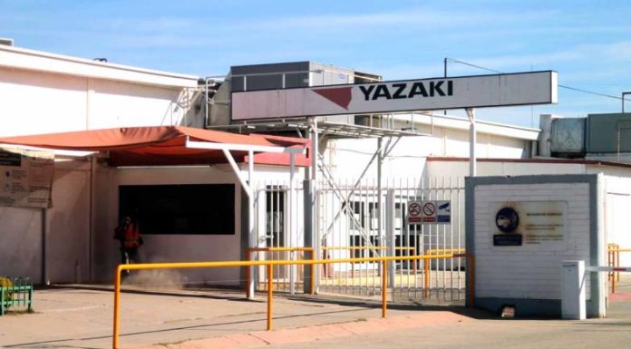 En Cajeme utilidades dejan derrama millonaria