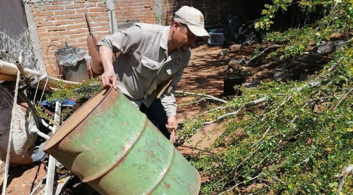 Alerta en Álamos por aumento de positividad de la larva del mosco