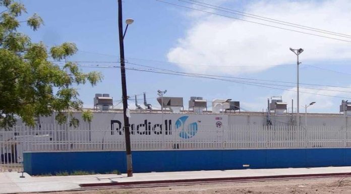 Crece industria de exportación