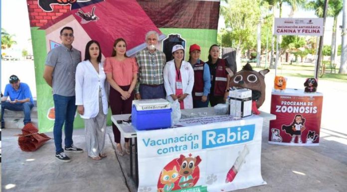 En Cajeme brindan servicios gratuitos para perros