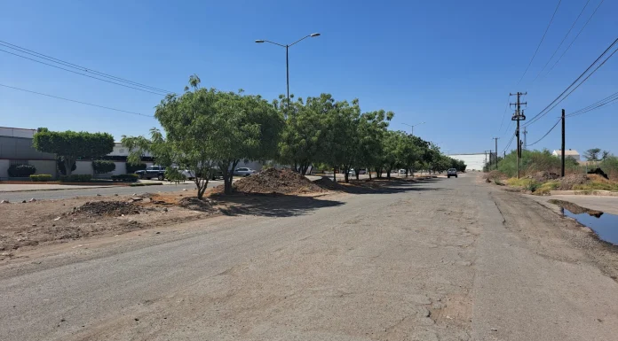 Con 308 millones de pesos rehabilitarán Parque Industrial