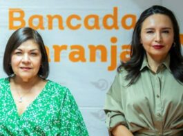 Llevarán a Sala Superior del Tribunal Electoral caso de violación de derechos políticos de diputadas de MC