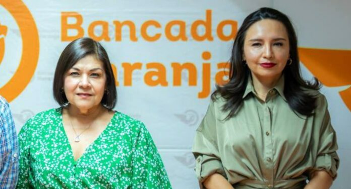 diputadasMCNataliaRosaElena