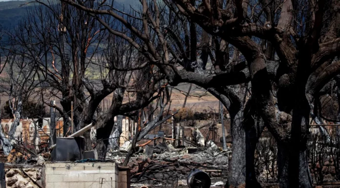 Autoridades elevan a 106 el número de muertos en incendios de Maui, Hawái