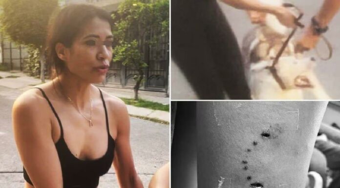 Denuncian a mujer que ordenó a su husky matar a otro perro en Jalisco