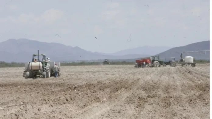 2784553_1.jpg_1296259492