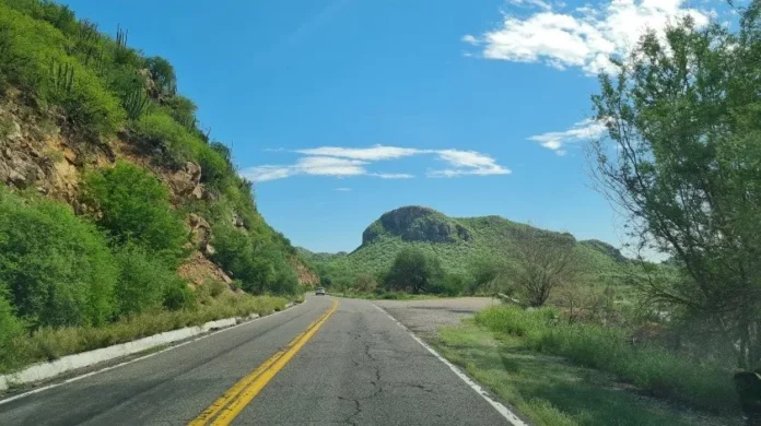 2931309.jpg_851672003