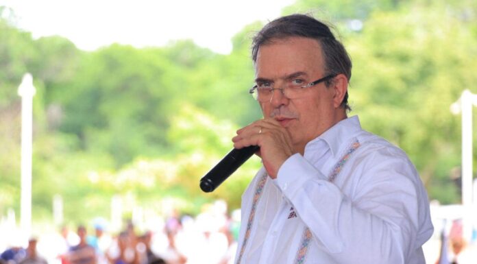 Dante Delgado deja abierta la posibilidad de ir con Ebrard como candidato de MC en 2024