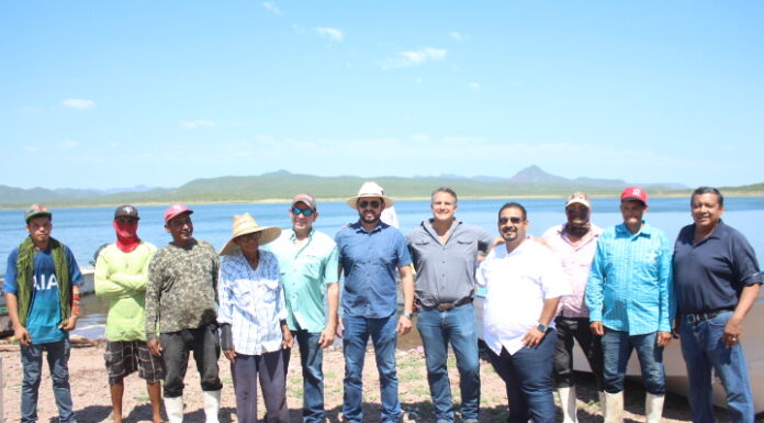 CAJEME CONTINÚA CON EL PLAN DE RESCATE A LA ACTIVIDAD PESQUERA Y REPOBLAMIENTO DE TILAPIA EN LA PRESA ÁLVARO OBREGÓN