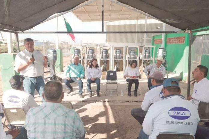 foto-2-conapesca-focus-0-0-1300-865