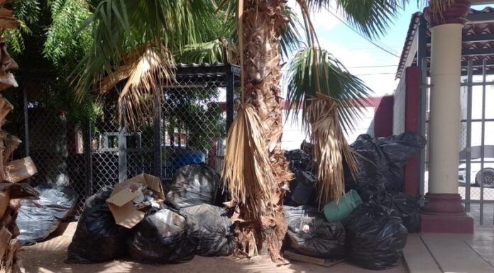 SEC SE DESLINDA CON LA PROBLEMÁTICA DE BASURA