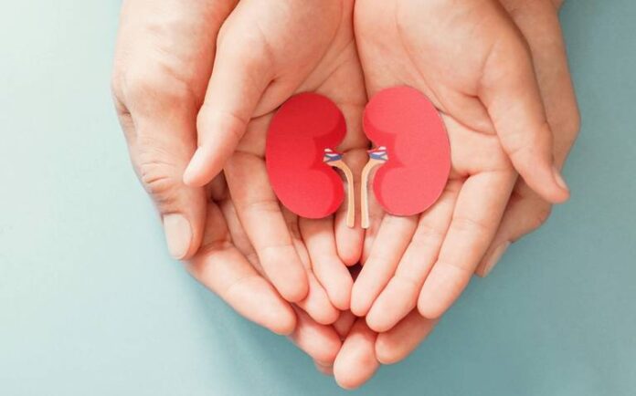 Conoce la importancia de la donación de órganos