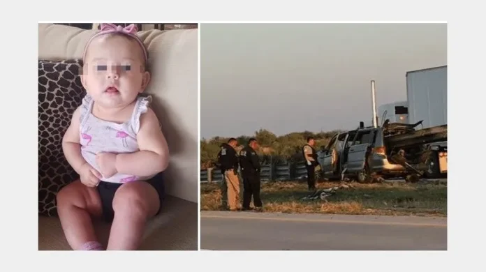 cats_crop1696262815985.jpg_1935743484