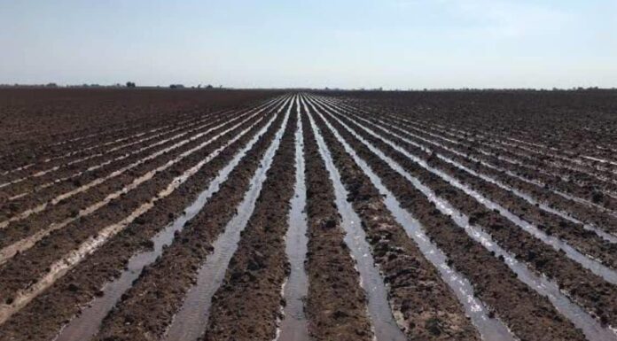 Escasez de lluvias impide inicio del ciclo agrícola en el Valle del Yaqui