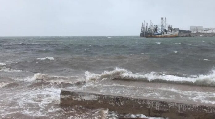 Se prevé que «Norma» se degrade a tormenta tropical en el transcurso de este día